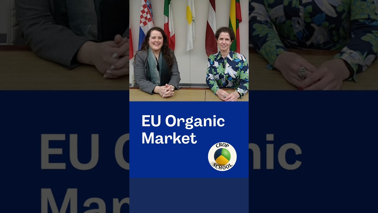 Estrategias B2B para ampliar el acceso al mercado org&aacute;nico en Europa