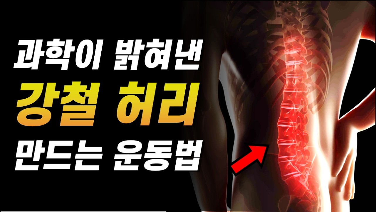허리 통증이나 디스크 있다면 무조건 봐둬야 할 영상