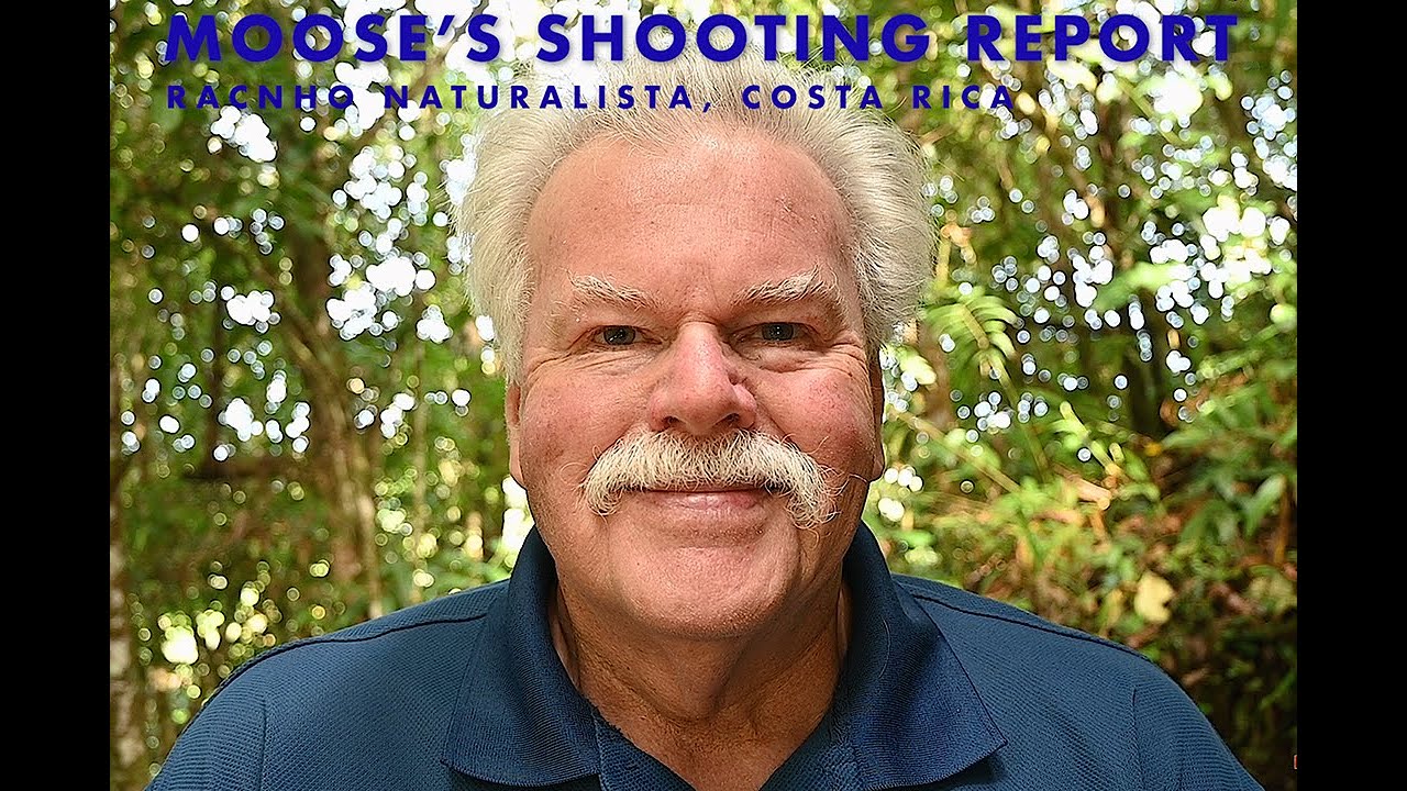 Moose's Shooting Report - Rancho Naturalista, Costa Rica Mar '25