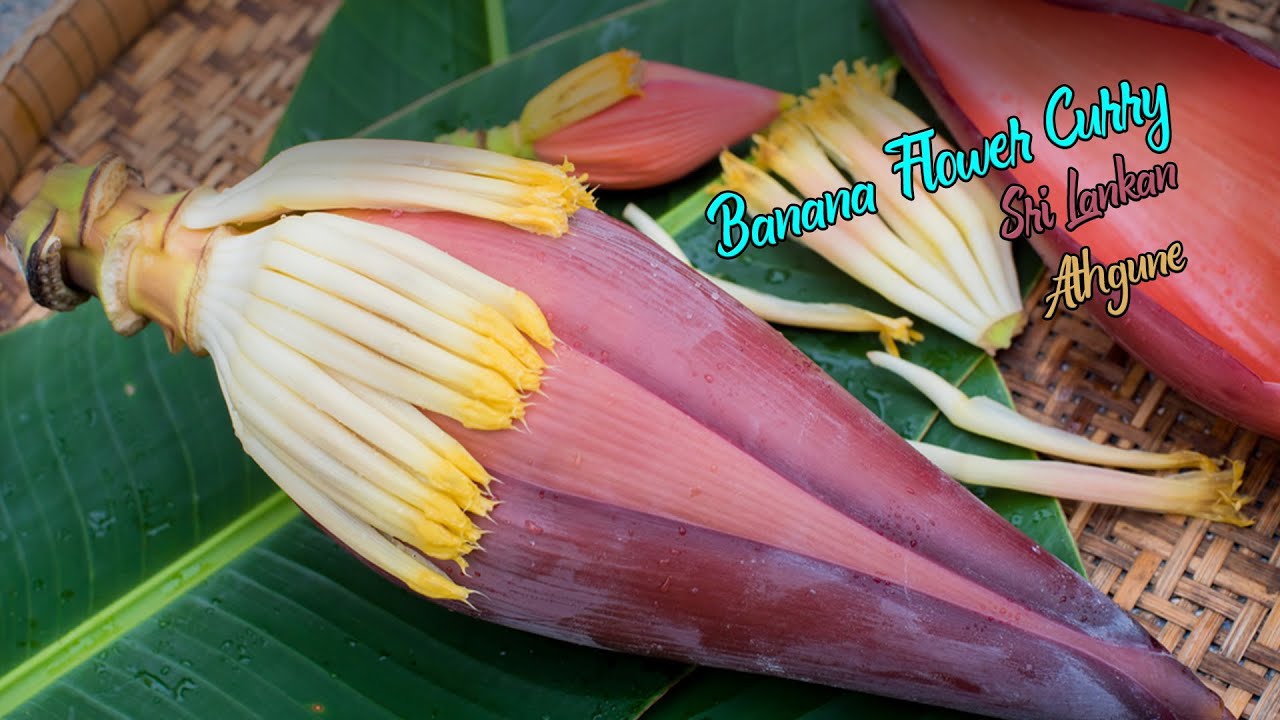 Sri Lankan Banana Flower Curry | How to cook plantain flower | Mind Relaxing Cooking | athgune