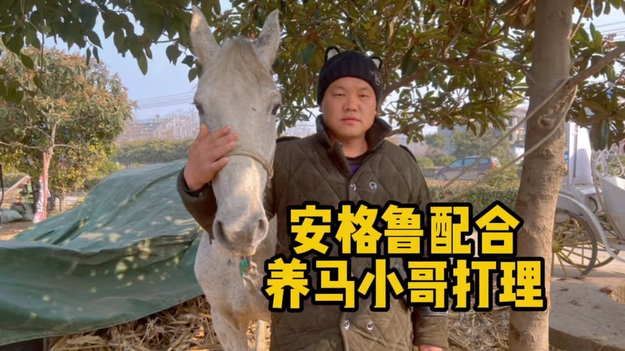 这么配合养马小哥白龙太给力了。