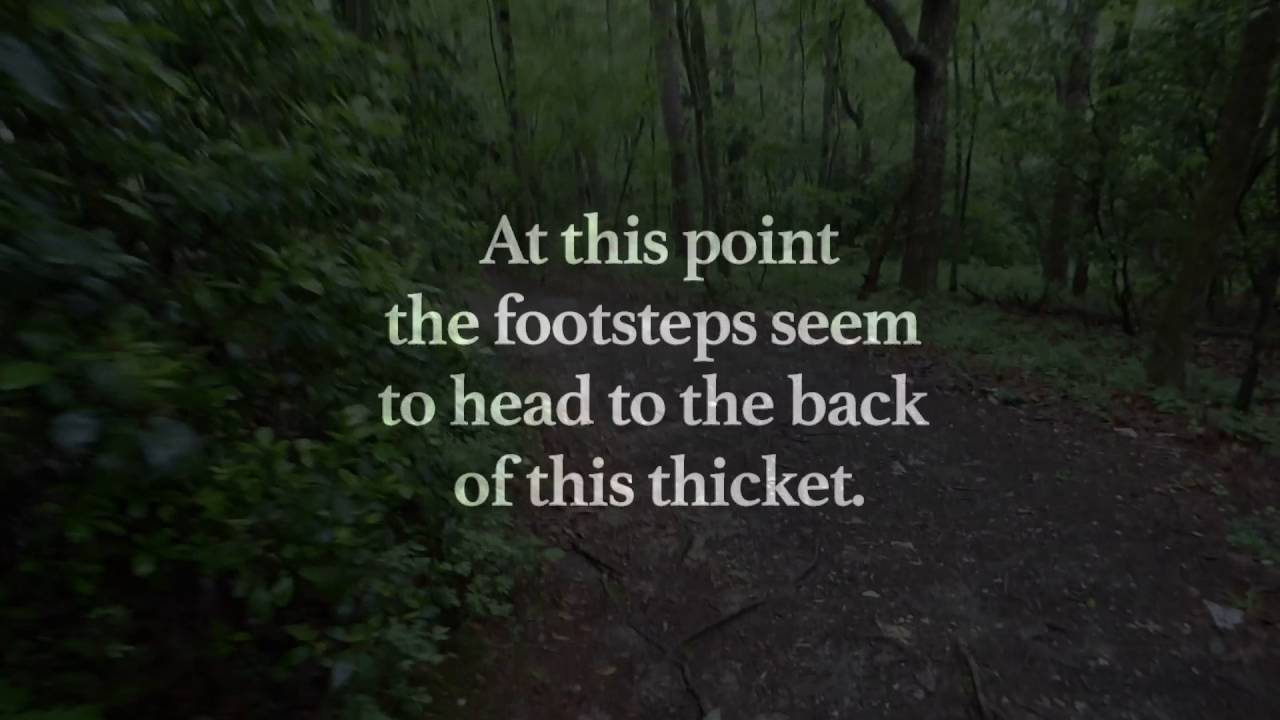 Agressive Bigfoot in Alabama