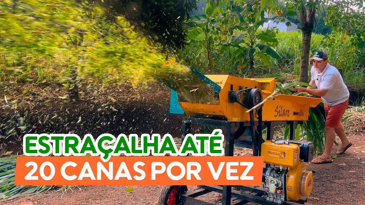 Como ela produz tanto? - Nova ENSILADEIRA a caminho!