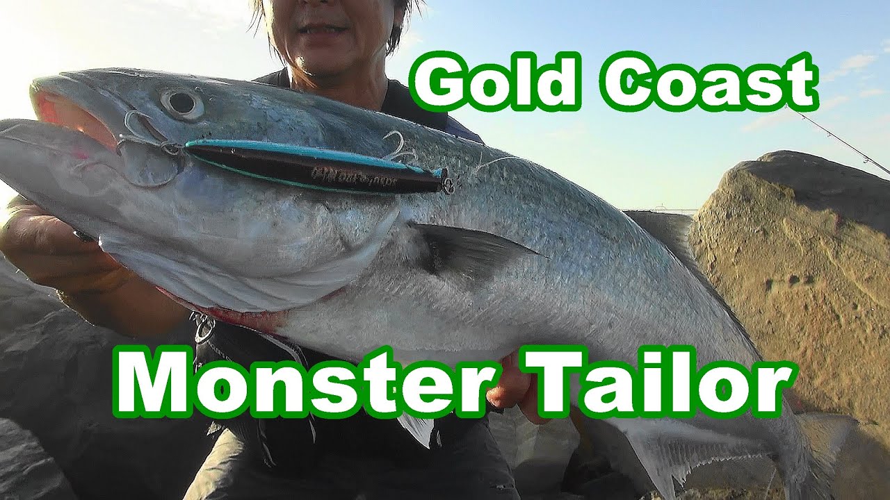 Gold Coast fishing Monster Tailor vol.119