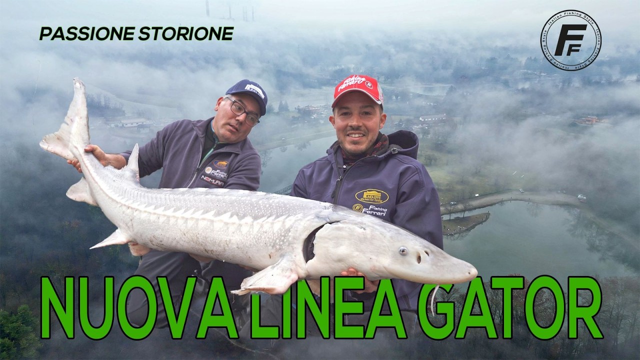 Passione storione - Nuova linea Fishing Ferrari Gator