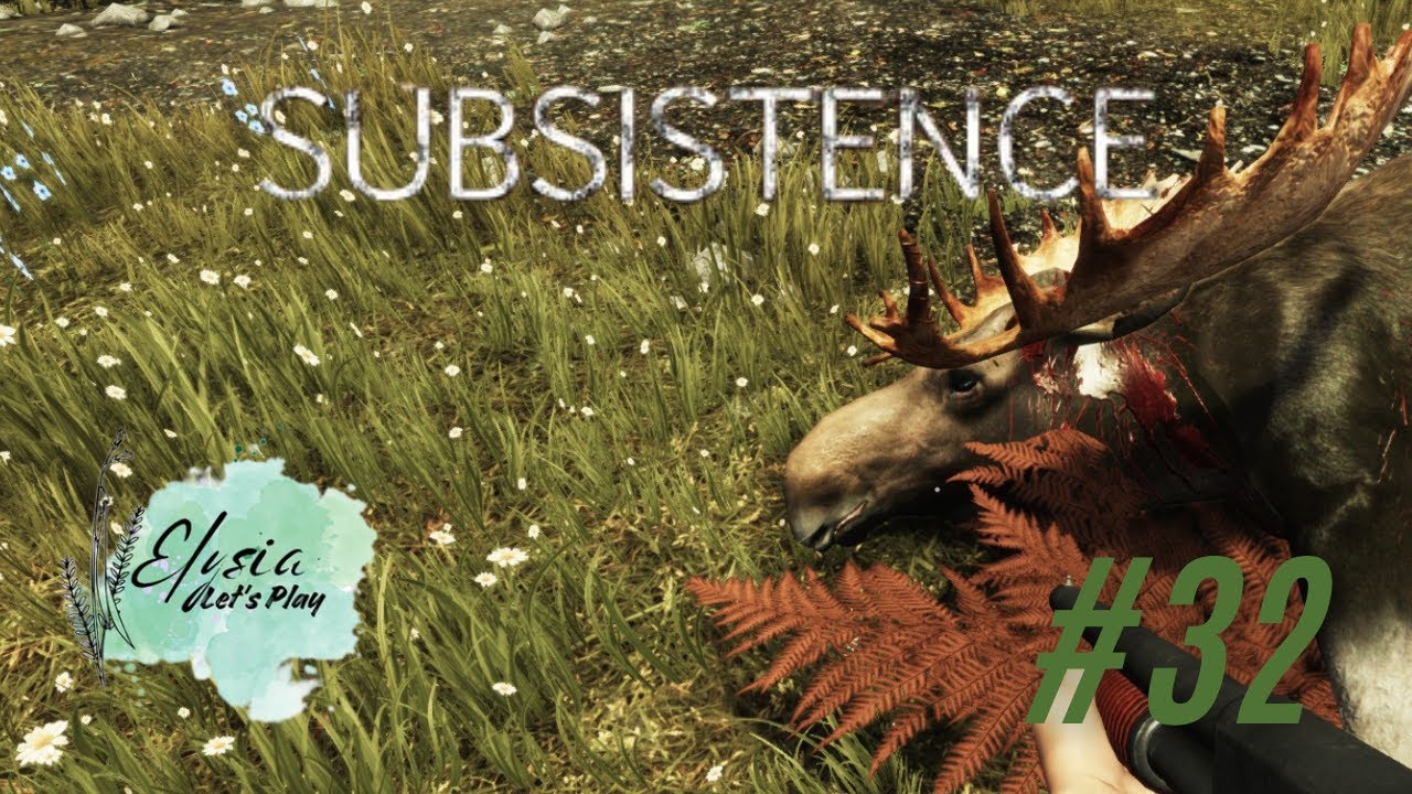 Subsistence 32 Der erste Elch
