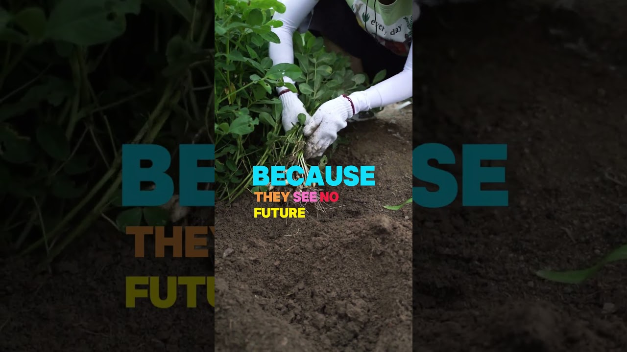 Support Local Farmers Dailybread TV #lifelessons #motivation #levelupyourlife #motivationalspeech