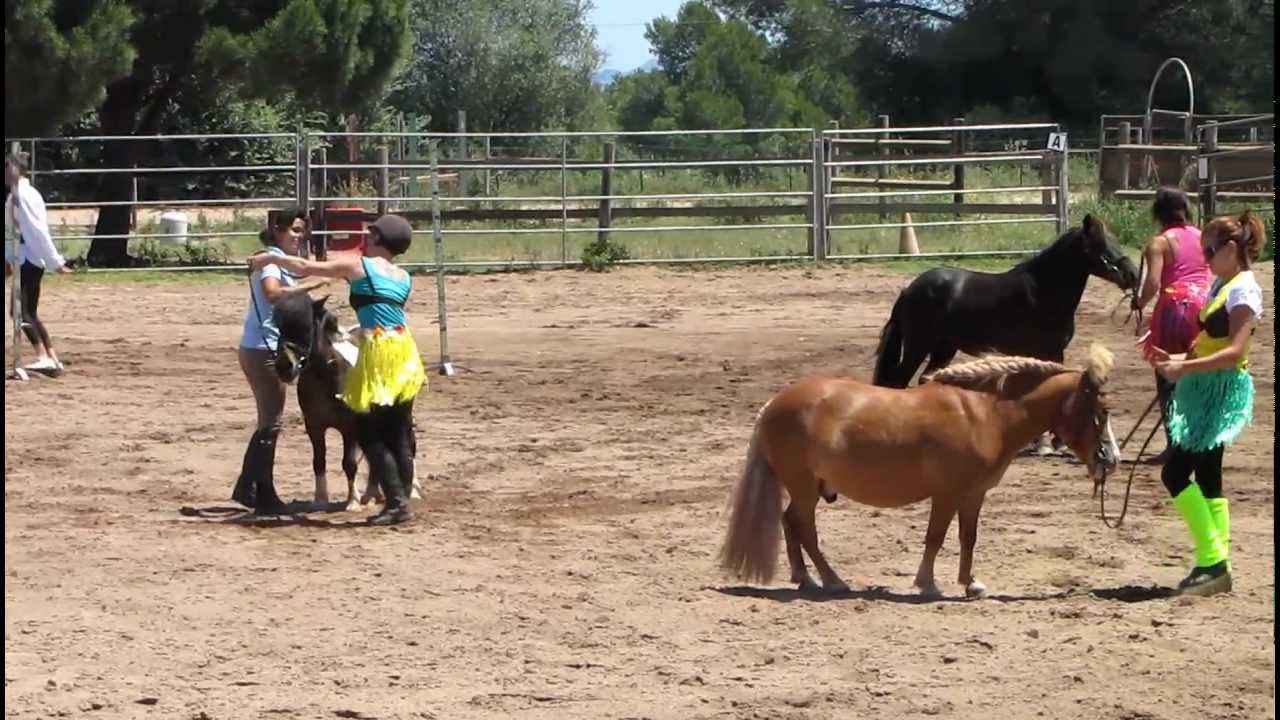 F&ecirc;te au Haras de L'Espinette