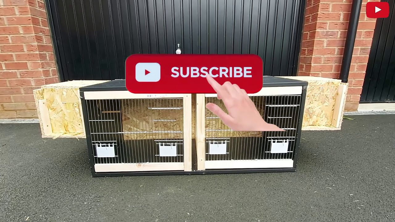 Do you want to build something like this! A DOUBLE BREEDING CAGE FOR BUDGIES.