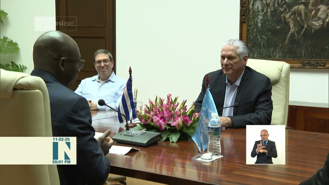 Díaz-Canel recibió a delegación para el Ejercicio de los Derechos Inalienables del Pueblo Palestino