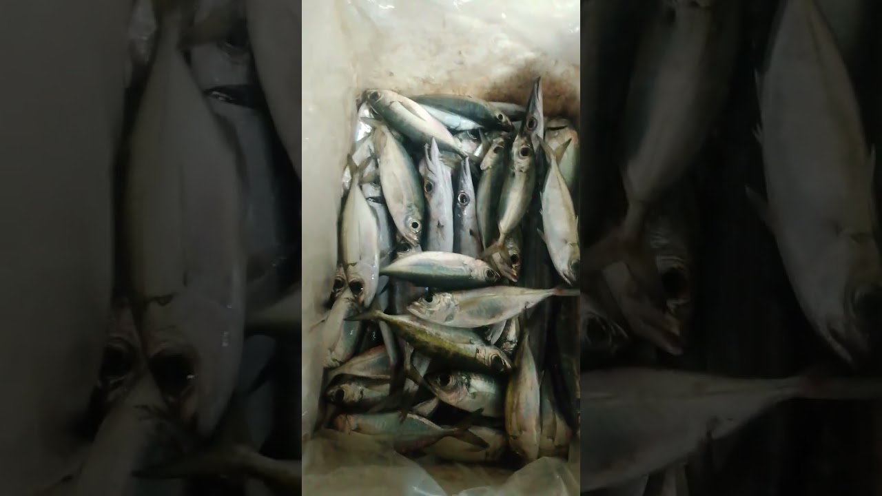 kapuyot, fishing 