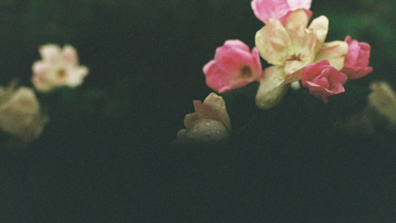 Kathi Hendrick and Robot Koch - Breath As Love (Guided Meditation)