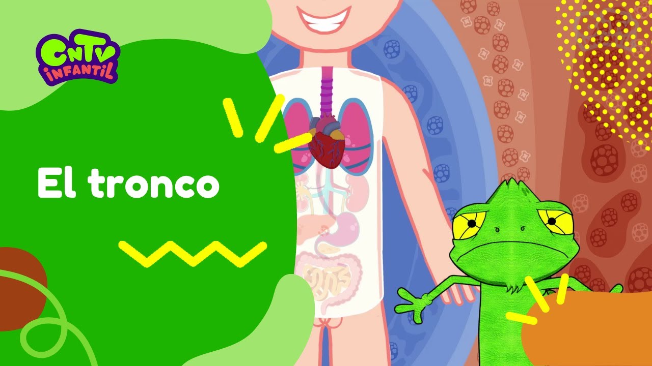 El tronco | Camale&oacute;n y las naturales ciencias 3&deg; temporada
