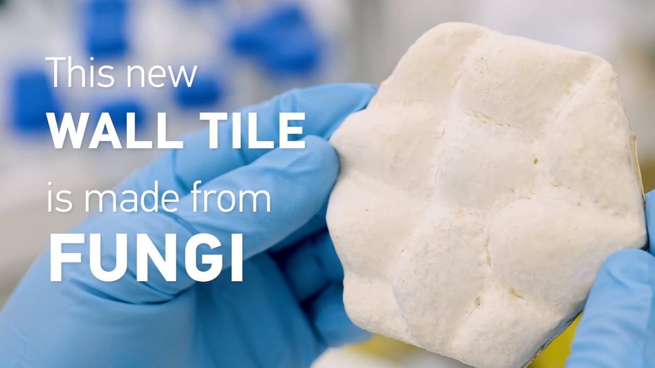 This new wall tile made from fungi cools buildings