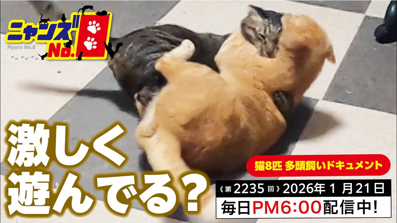 《第2234回》お水 飲みたいのに・・・