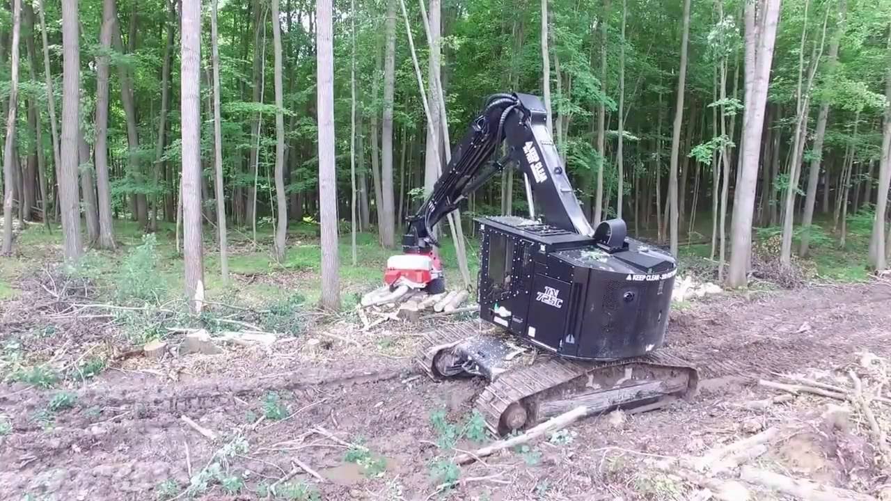 Timber Pro 725 C with Logmax 7000xt fixed head