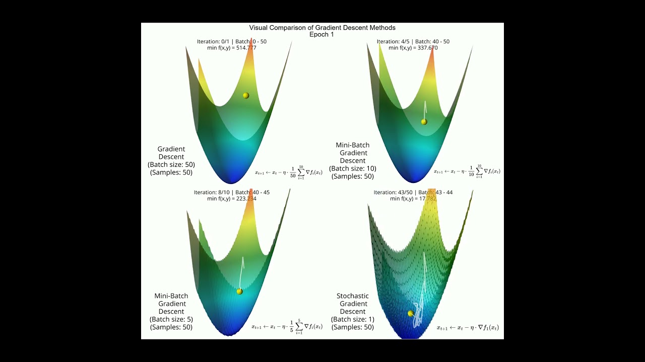 Different Variants of Gradient Descent (Visualization) #deeplearning #machinelearning