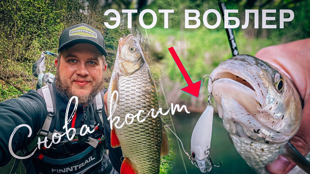 ПОССТАВИЛ снова ЭТОТ ВОБЛЕР и тут НАЧАЛОСЬ!!! / Открытие забродной рыбалки на голавля