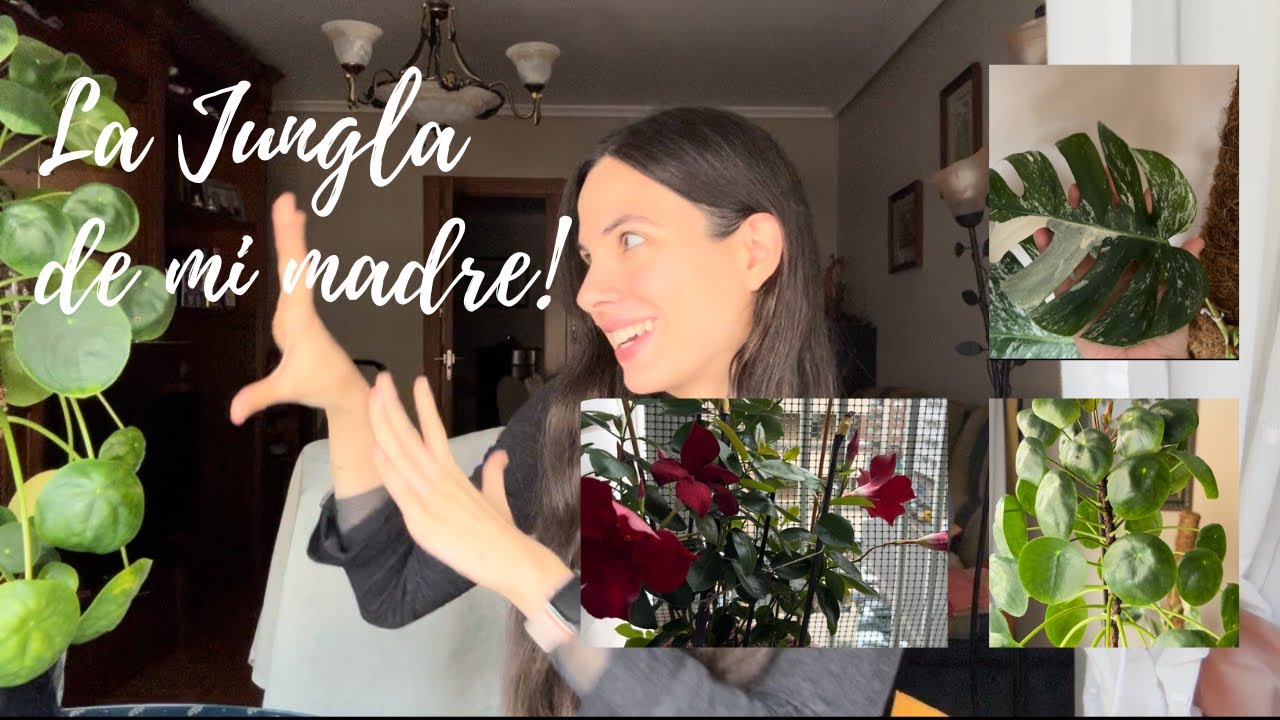 Visitamos la jungla de mi madre 💚 Descubrimos qué plantas tiene en casa 🏠