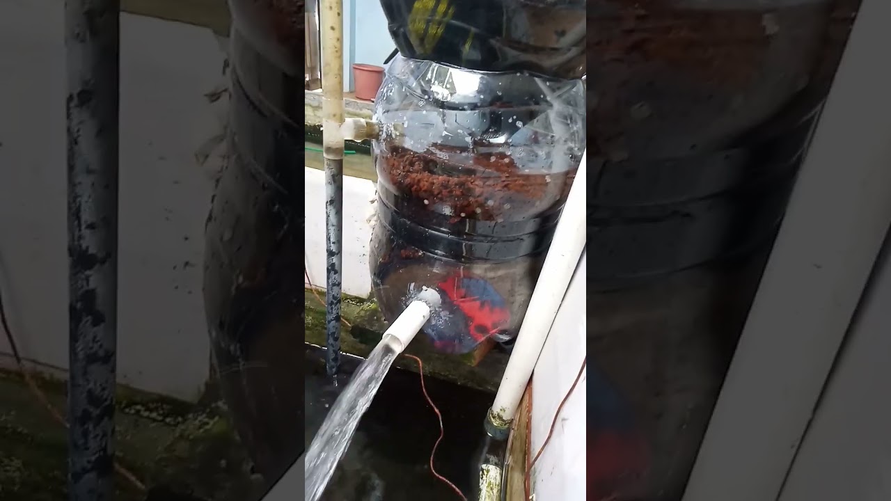#filter kolam koi sederhana hasil boleh dicoba #generasi 2 #fish #Filterdaribotolbekas