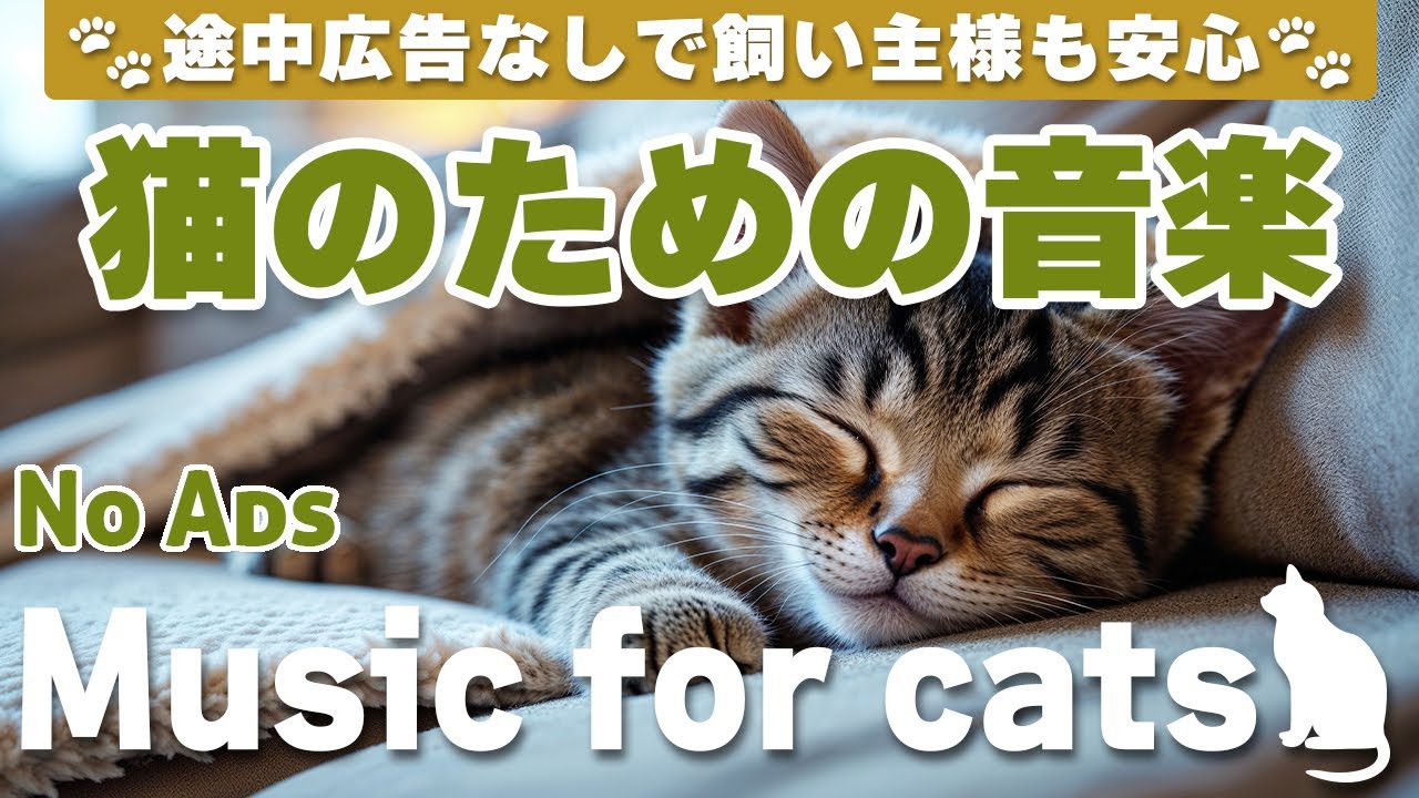 猫が落ち着く音楽 (12時間途中広告なし) /猫をリラックスさせるピアノ音楽 / No Ads/12 hours/piano/Relaxing music for cats_vol.251