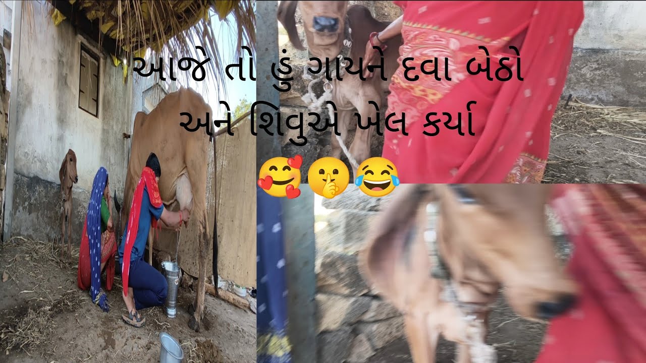આજે તો હું ગાયને દોવા બેઠો અને સુવે શિવુ એ ખેલ કર્યા 😂🤫😅🥰#moj #moj #only #moj