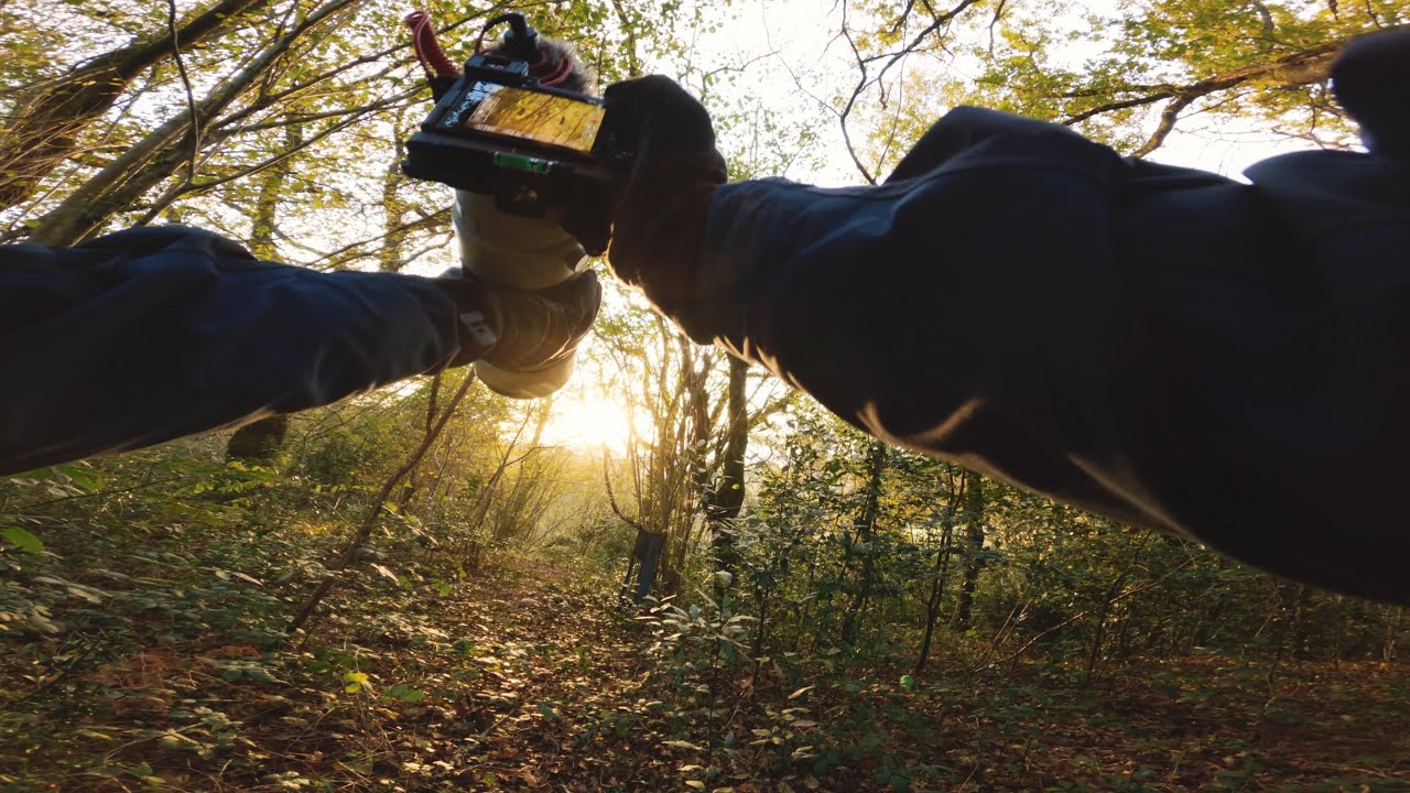 I Installed a Camera Trap in the Forest  - Sony A6700 + Dji Air 2s