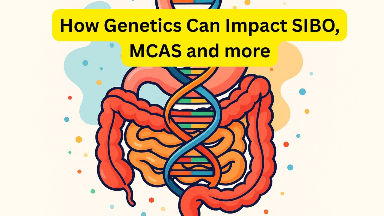 How Genetics Can Impact SIBO, MCAS and more.