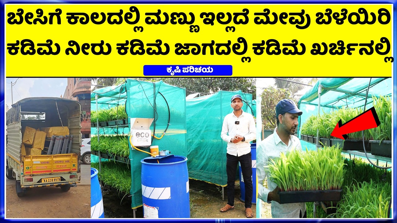 Call-6362488504 / 7097312134   ಹಸು / ಎಮ್ಮೆ / ಕುರಿ / ಮೇಕೆ / ಕೋಳಿ /ಹಸುರು ಮೇವು ಬೆಳೆಯುವ ಮಷೀನ್