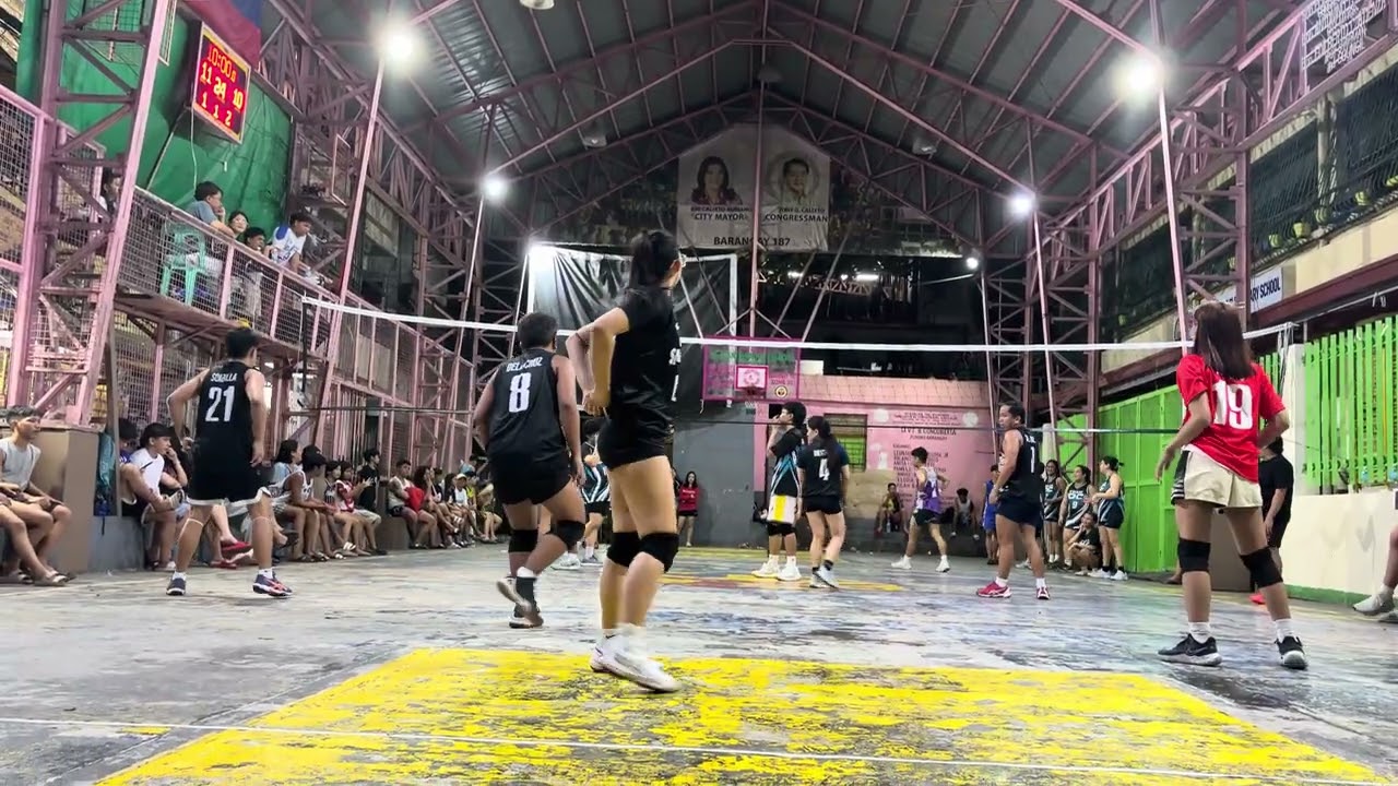 Semis 6 
