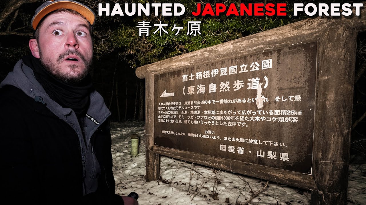 (GONE WRONG) SCARIEST NIGHT OF MY LIFE CAMPING ALONE IN THE HAUNTED JAPANESE FOREST! AOKIGAHARA 青木ヶ原