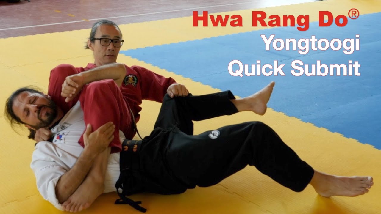 Hwa Rang Do® Yongtoogi Quick Submit Seminar 2019 Chianni, Italy