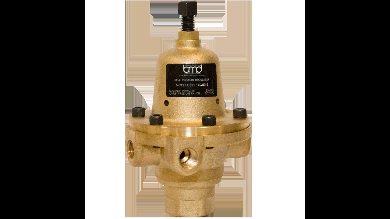 BMD RG40 2 What's in it?