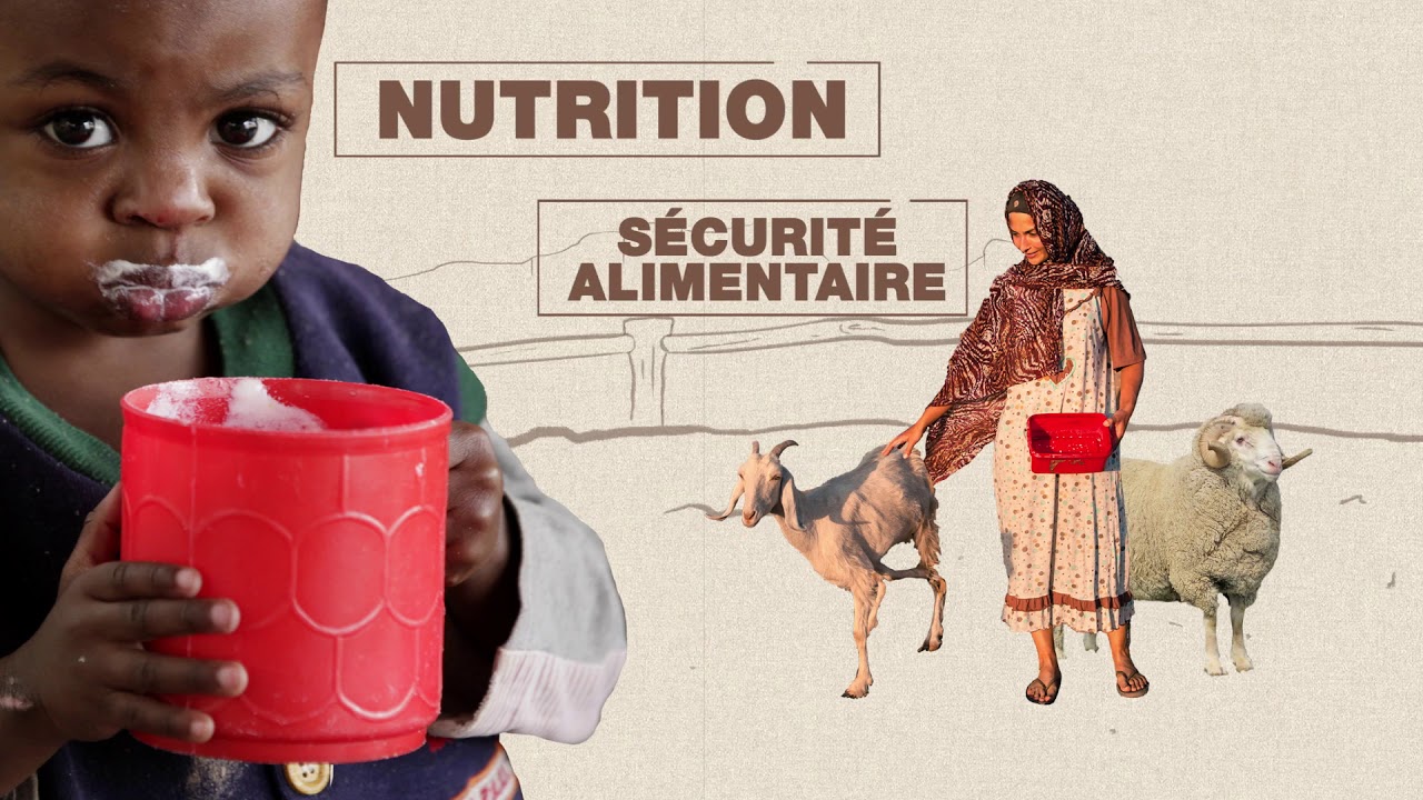 Programme mondial pour le contrôle et l'éradication de la Peste des petits ruminants