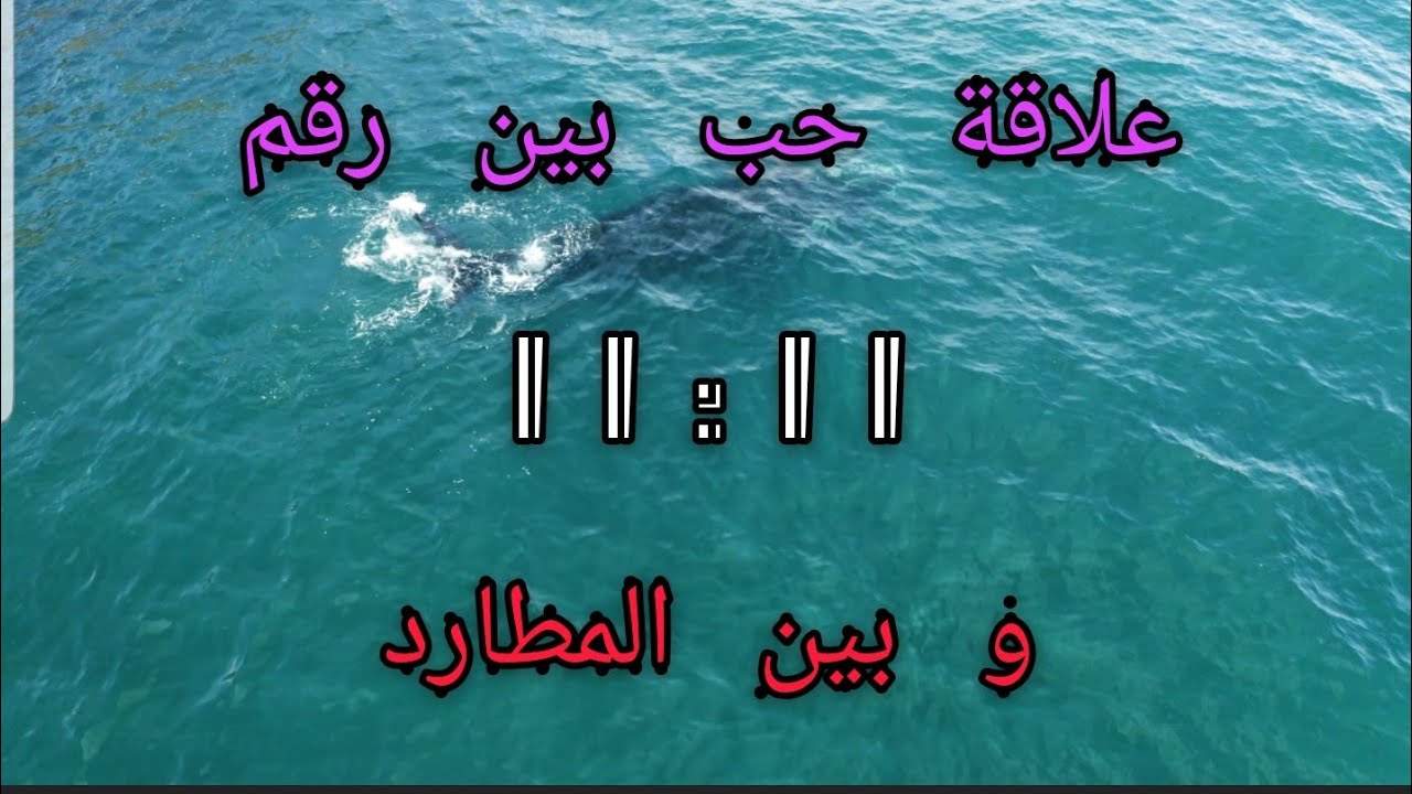 حب المطارد لرقم 11:11 و مدى فرحته برؤيته🥰🥰