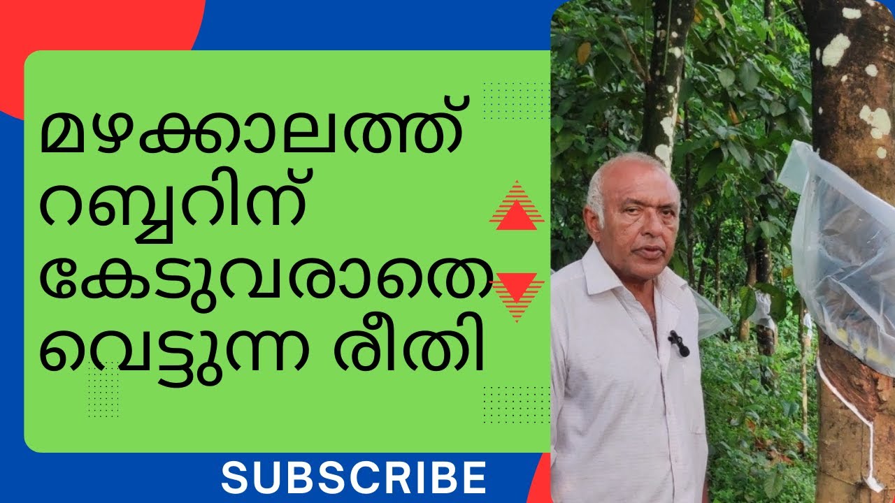PART.8 റബ്ബർ ടാപ്പിങ് സ്ലോപ്പിന്റെ പ്രാധാന്യം, rubber tapping, cultivation, farming,