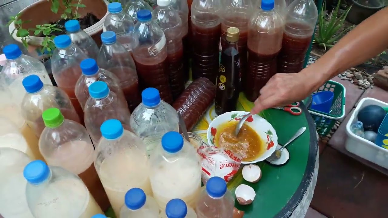 #ขั้นตอนทำ #จุลินทรีย์สังเคราะห์แสง