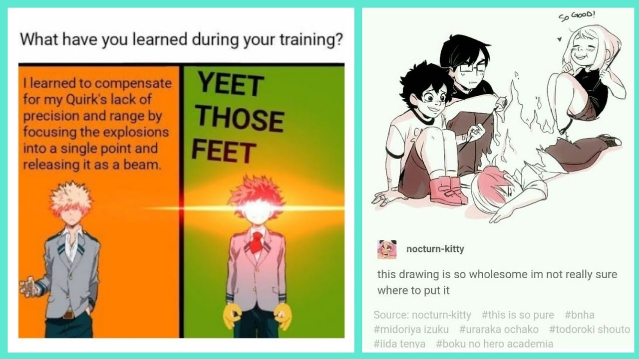 MEMES ONLY TRUE MY HERO ACADEMIA FANS WILL FIND FUNNY...#15