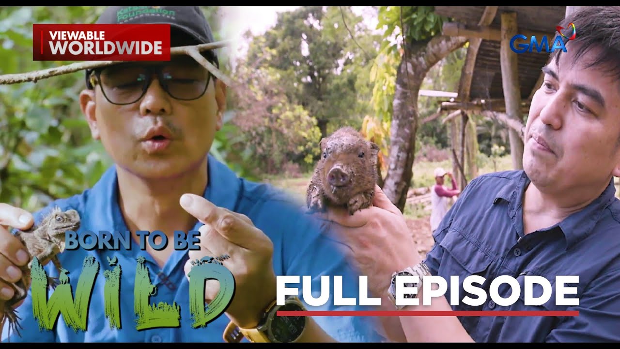 Elusive Negros Forest Dragon and Unidentified Wild Boar (Full Episode) | Born to be Wild