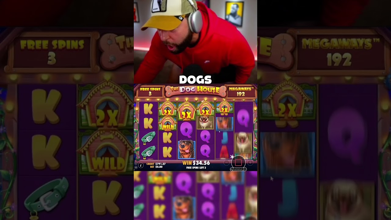 DOG HOUSE MEGAWAYS DROPS A TON OF WILDS!