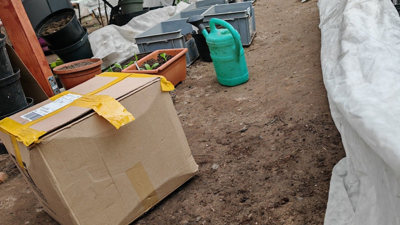 🎁 C&oacute;ż za sympatyczna świąteczna paczka 😊 30.III.2026r