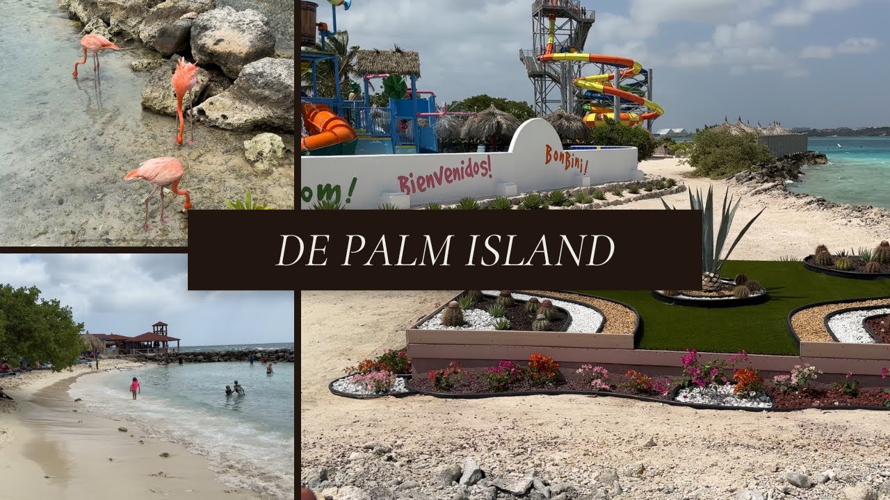 De Palm Island, Aruba’s All Inclusive Private Island, Full Tour 🇦🇼[4K]