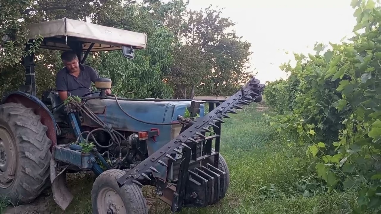 Bağlarda filiz kesme, Alaşehir birlik makine filiz kesme makinesi