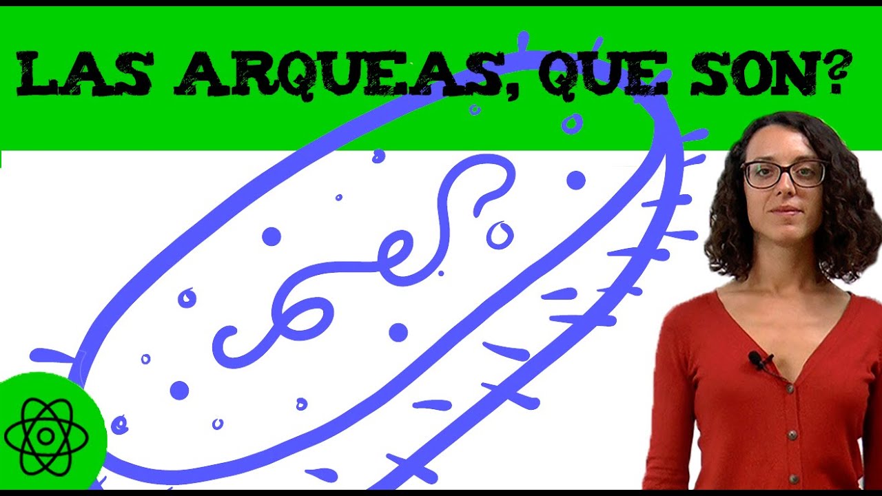 Las arqueas 🧫 Que son?