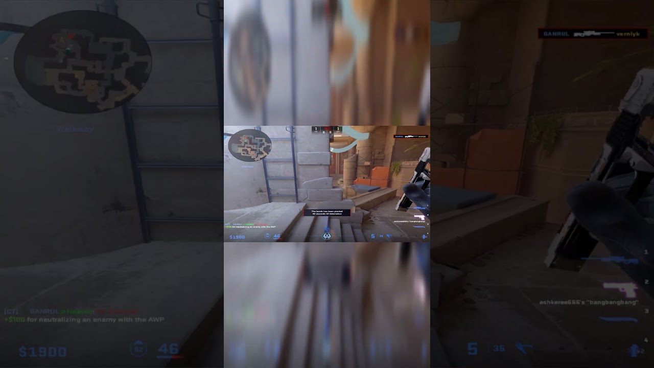 NEW HIGHLIGHTS 