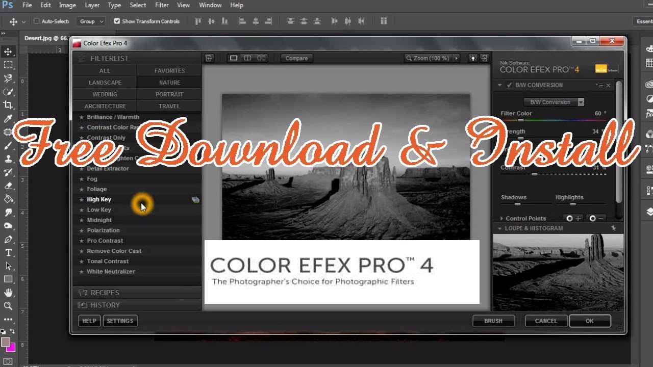 Free Download Nik Software-