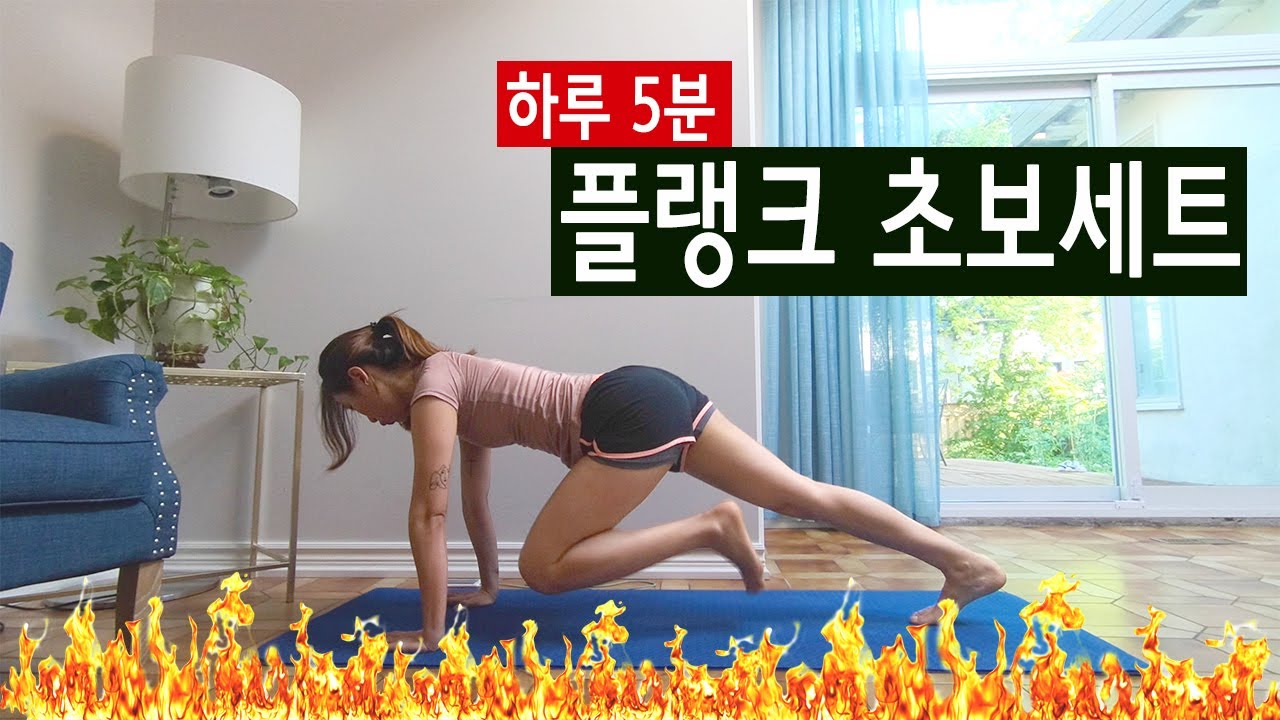 5분 플랭크 초보 세트🔥 플랭크 운동 변형동작 | 5 MIN PLANK WORKOUT for Beginners