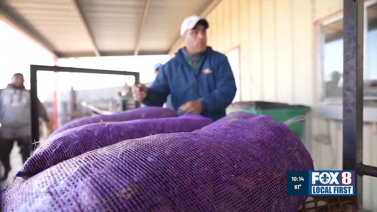 Some Louisiana farmers call for pathway to permanent legal status for migrant workers