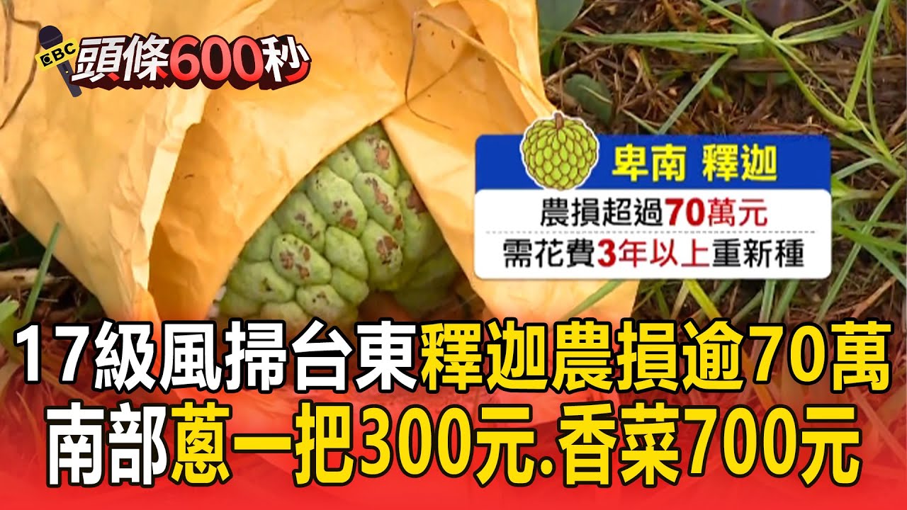 【東南部災情】楊柳17級風掃台東「釋迦農損逾70萬」！九層塔漲1倍...南部蔥一把300元＋香菜飆700元天價【頭條600秒】