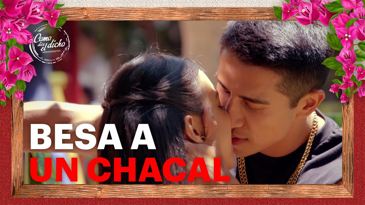 Susana comienza una RELACIÓN con un CHACAL | Quien va a caer 1/5 | CDED